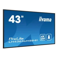 43"W LCD 4K UHD IPS 800 cd/m? - Flachbildschirm (TF
