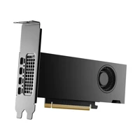 NVIDIA - Grafikkarten - NVIDIA RTX 2000 Ada - 16 GB