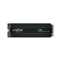 T705 with heatsink   2TB PCIe Gen5 NVMe M.2 SSD