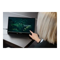 PMT-15-4K - LCD-Monitor - 39.6 cm (15.6") - tragbar