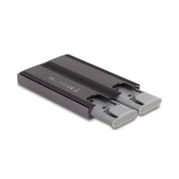 DeLock Externes USB Type-C Dual Combo Gehäuse für 2 x M.2
