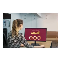 27 Monitor - E2725H