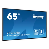 Iiyama 65iW LCD 4K UHD VA - Flachbildschirm (TFT/LCD)