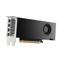 NVIDIA RTX 2000 Ada Generation - Grafikkarten - NVI