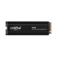 P310 2TB NVMe SSD w/heatsink