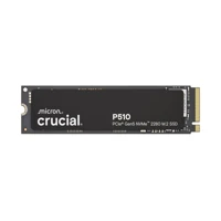 P510 2TB PCIe Gen5 NVMe M.2 SSD
