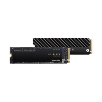 Black SN750 NVMe SSD WDS200T3X0C, 2TB -