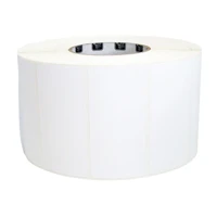Silverline Blade II - Polyester -, EPC, 865-868 MHz