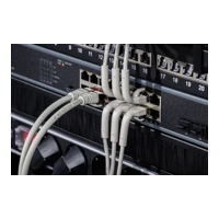 CAT 6A F-FTP abwinkelbares Patchkabel, Kupfer, 1,5