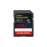 SanDisk Extreme Pro SDXC 256GB SDSDXXJ-256G-GSCIN