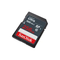 Ultra, Flash-Speicherkarte, 256GB, UHS Class 1