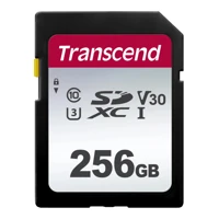 300S, Flash-Speicherkarte, 256GB, Video Class