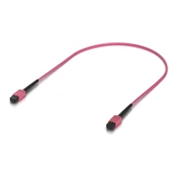 Indoor OM4 multi-mode fiber patch cable with MPO-12