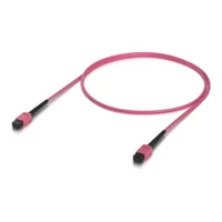 Indoor OM4 multi-mode fiber patch cable with MPO-12
