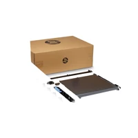 Drucker-Transfer Belt