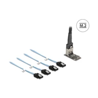 DeLock M.2 2242 Key B+M Kontroller zu 4 x SATA mit 1m Kabe