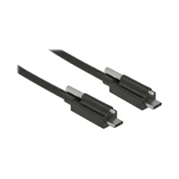DeLock USB-Kabel, USB-C Stecker zu USB-C Stecker, USB 3.1
