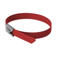 DeLock Kabelbinder, 30cm, Rot (10er-Packung)