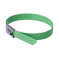 DeLock Kabelbinder, 30cm, grün (10er-Packung)