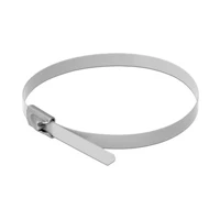 DeLock Kabelbinder, 20cm, weiß (10er-Packung)