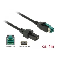 DeLock Powered USB-Kabel, USB PlusPower (12 V) Stecker zu