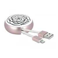 DeLock Lightning-Kabel, USB Stecker zu Lightning Stecker