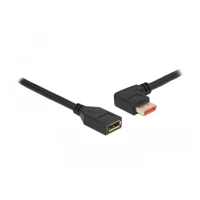 DeLock DisplayPort-Verlängerungskabel, DisplayPort Stecker