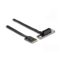 DeLock Schnittstellenadapter, PCIe 4.0 x1 (NVMe) 64217