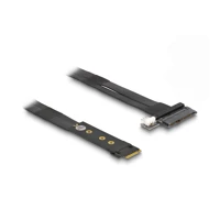DeLock Schnittstellenadapter, U.2 NVMe, M.2 Card 64216