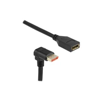 DeLock DisplayPort-Verlängerungskabel, DisplayPort Stecker