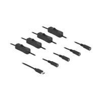 DeLock Netz-Splitter, 24 pin USB-C Stecker zu Gleichstroms