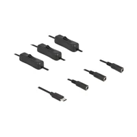 DeLock Netz-Splitter, 24 pin USB-C Stecker zu Gleichstroms