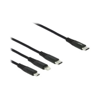 DeLock 3 in 1, Kabel nur zum Laden, 24 pin USB-C Stecker z