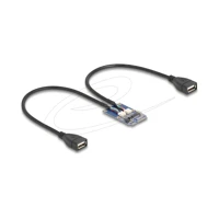 DeLock USB-Adapter, PCIe Mini Card, USB 2.0x2
