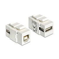 DeLock Modularer Einschub (Kopplung), USB-Typ B, USB Type