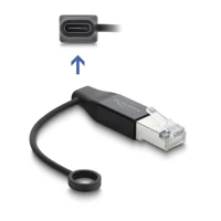 DeLock USB Type-C Netzwerk Adapter LAN 1 x RJ45 Stecker