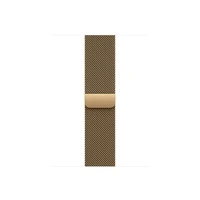 Apple Loop für Smartwatch, 42mm, 130, 180mm, radiant gold