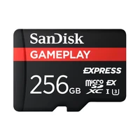 SanDisk Express GamePlay microSDXC 256GB